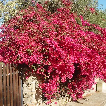 Casa A 300mt.dal Mare Calasinzias, 6 Letti, Ac, Pets Welcome, Wi-fi Free Holiday home *