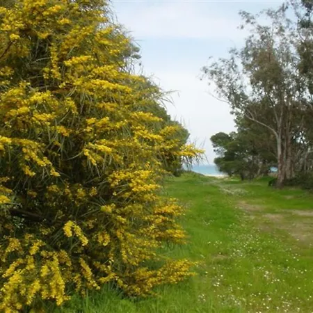 Holiday home Casa A 300mt.dal Mare Calasinzias, 6 Letti, Ac, Pets Welcome, Wi-fi Free Cala Sinzias